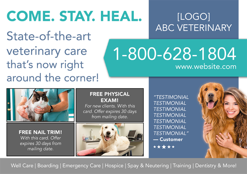 veterinarian postcard example